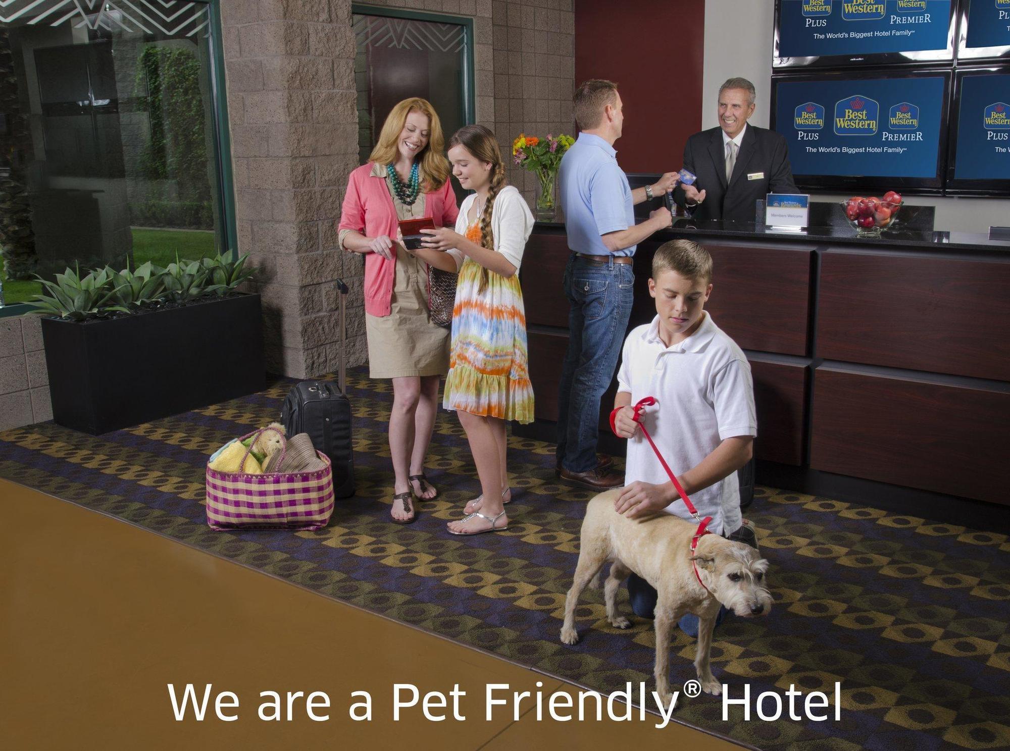Quality Inn & Suites Phoenix Nw - Sun City Youngtown Εξωτερικό φωτογραφία